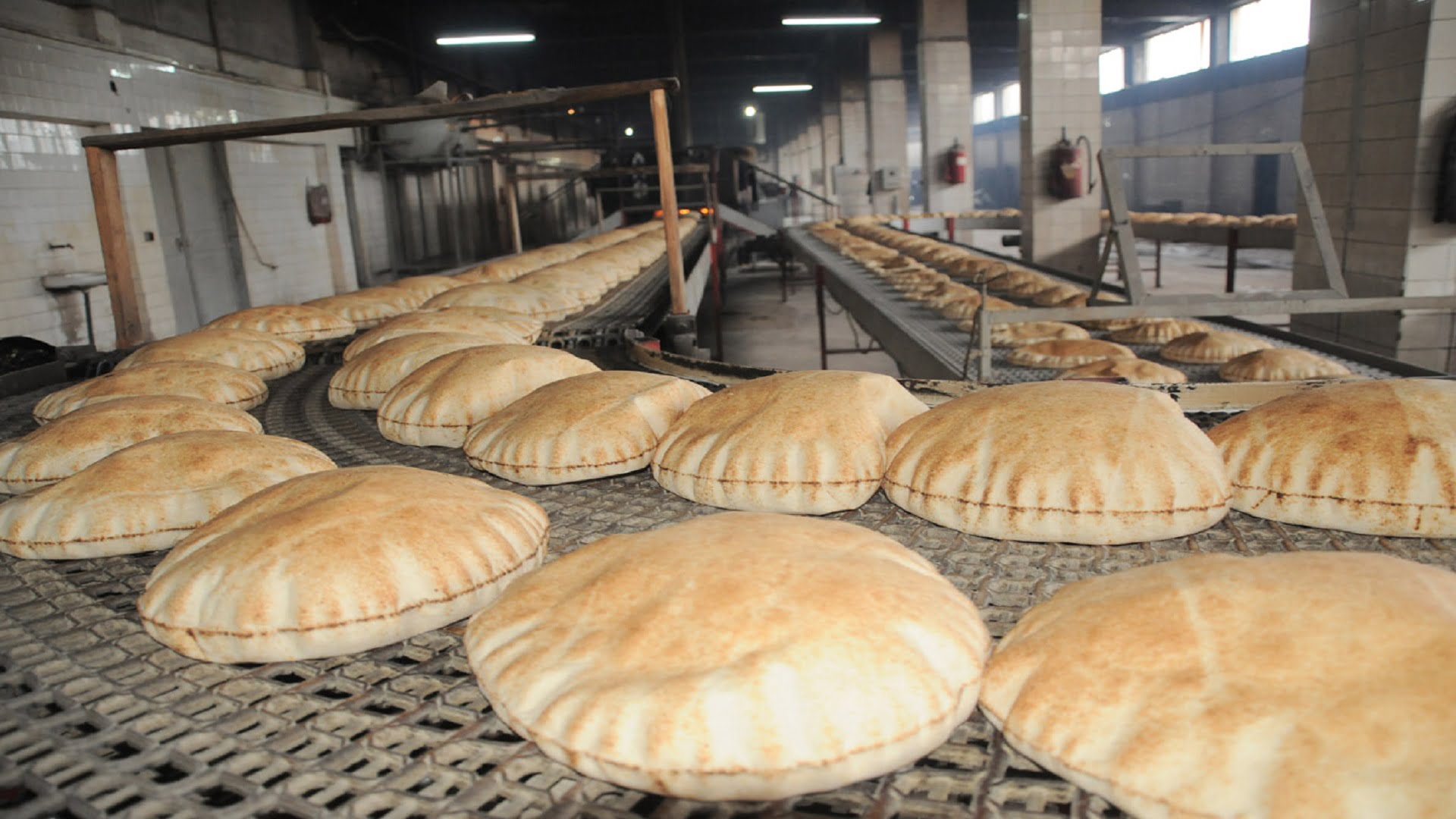 وزير التجارة الداخلية: رفع سعر الخبز غير مطروح للنقاش