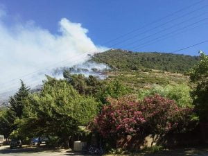 إخماد حريق في غابات جبال أبو قبيس بريف حماه