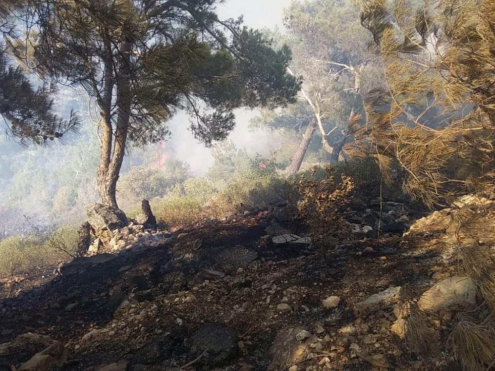 إخماد حريق في غابات جبال أبو قبيس بريف حماه
