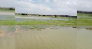 الامطار والسيول تتسبب بغمر نحو 6100 دونم من الأراضي الزراعية بريف دير الزور الغربي