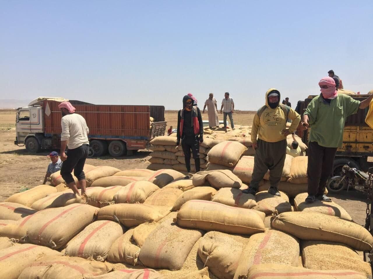 قوات الاحتلال الأمريكي تنهب مليون طن من القمح السوري