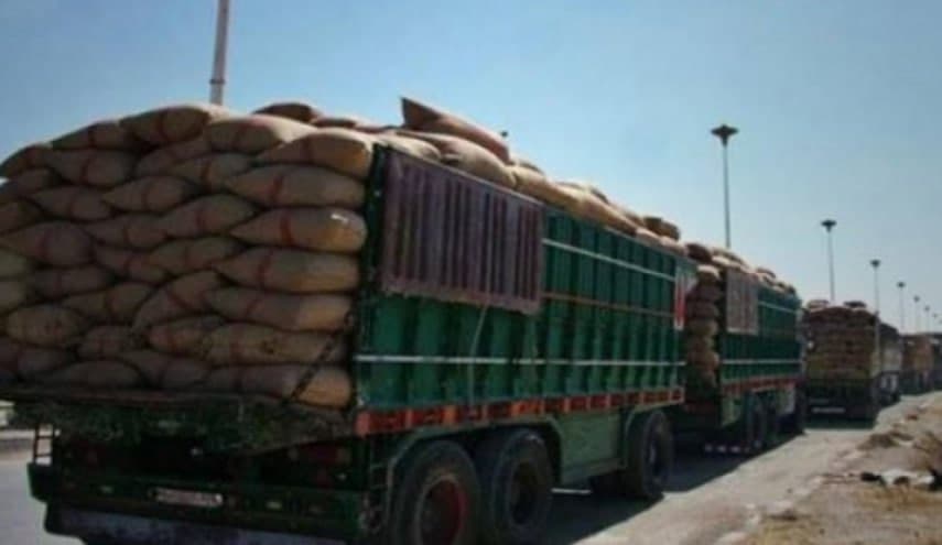 قوات الاحتلال الأمريكي تنهب مليون طن من القمح السوري