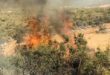 تقرير دولي: تضرر 73 قرية جراء الحرائق في أرياف اللاذقية وحمص وحماة