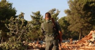 خلال عشرين يوماً فقط.. فصائل أنقرة تستولي على /3000/ شجرة زيتون في عفرين شمال حلب