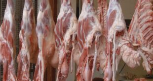 مع ارتفاع أسعار اللحوم محلياً.. "قسد" تصدر قراراً بفتح باب تصدير "المواشي"